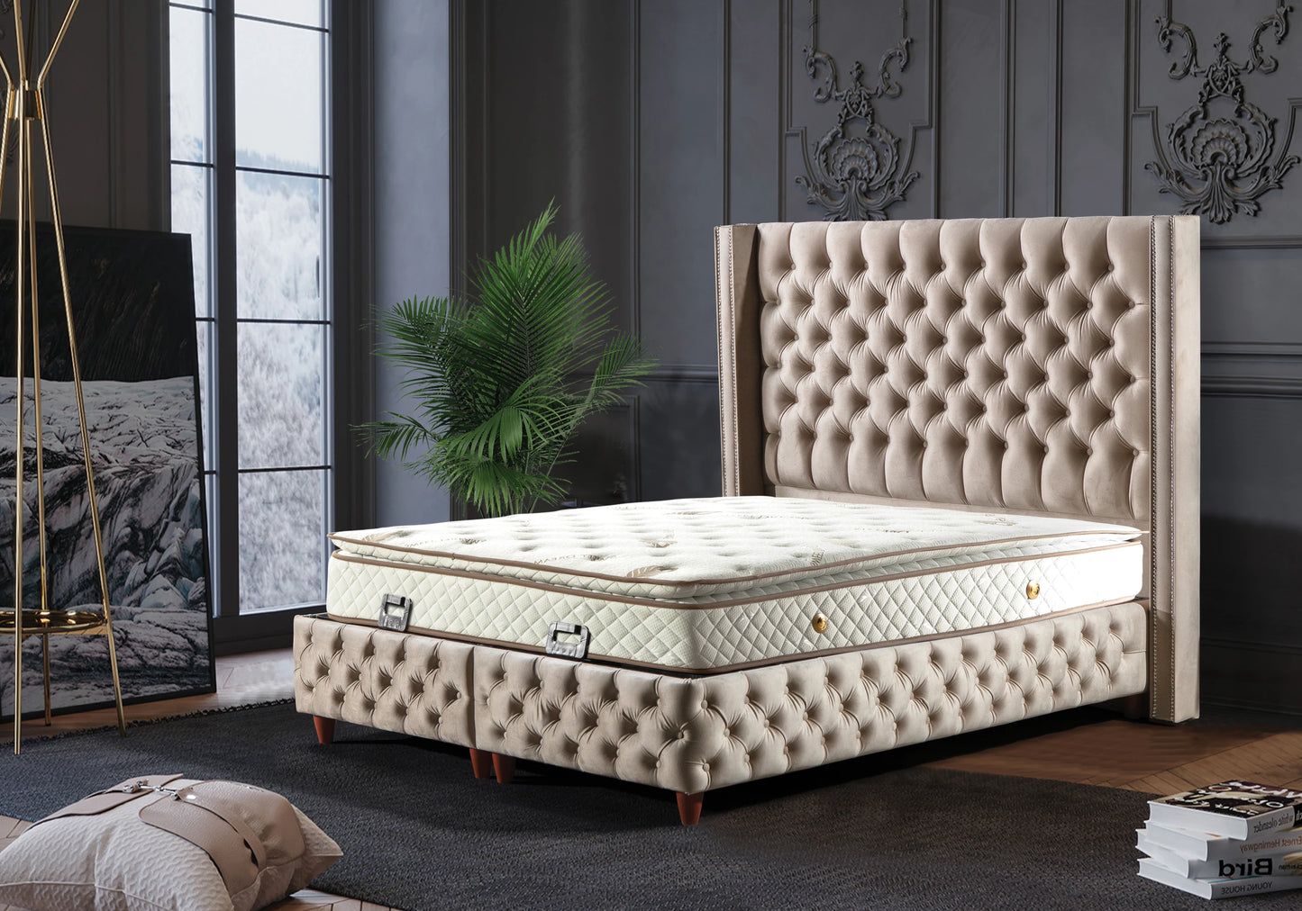 Lit Turc Capitonné Velours Beige Coffre Rangement – STAR - DEKOFLIX