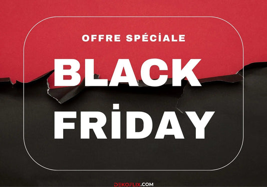 Les Meilleures Offres Décoration et Meubles pour le Black Friday 2024 sur Dekoflix"